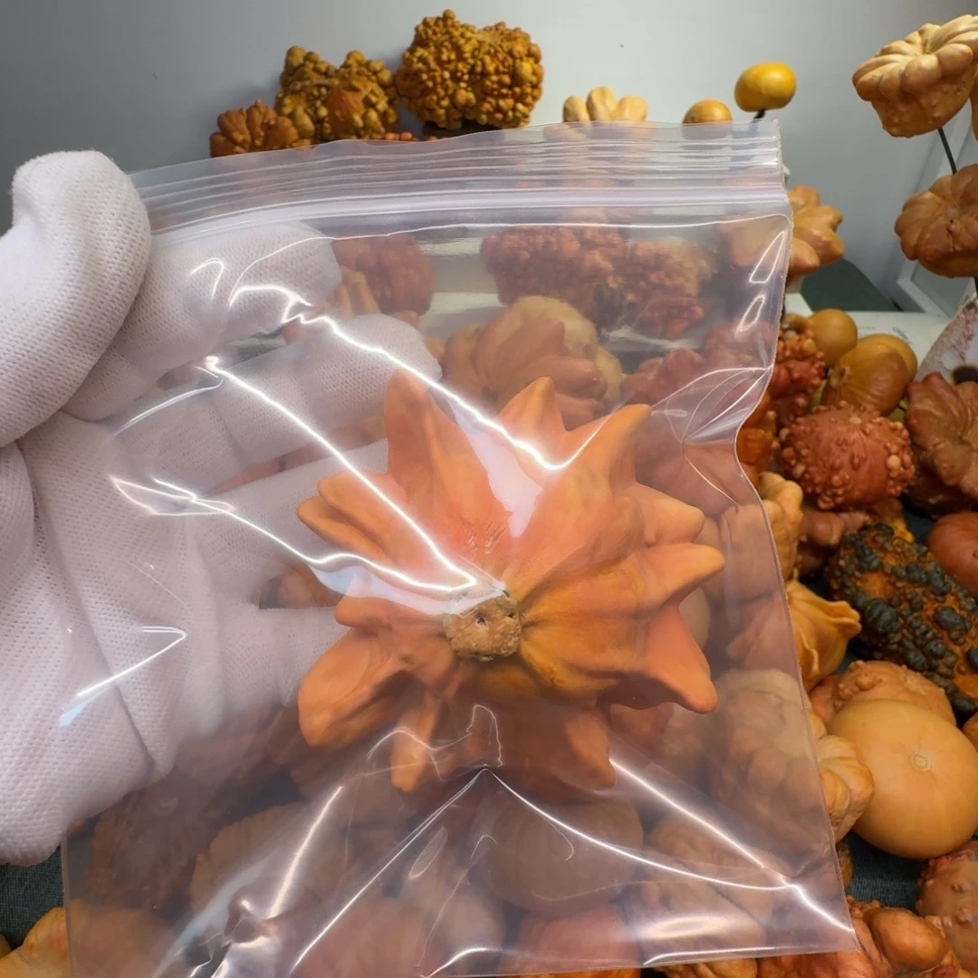 心***～墨西哥七彩葫芦瑕疵