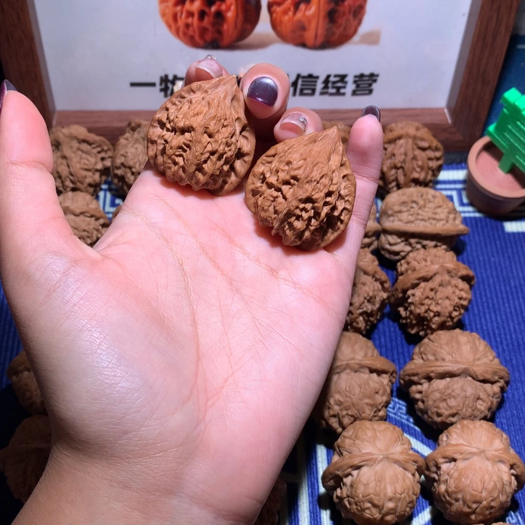 33➕野生三角塔605 11