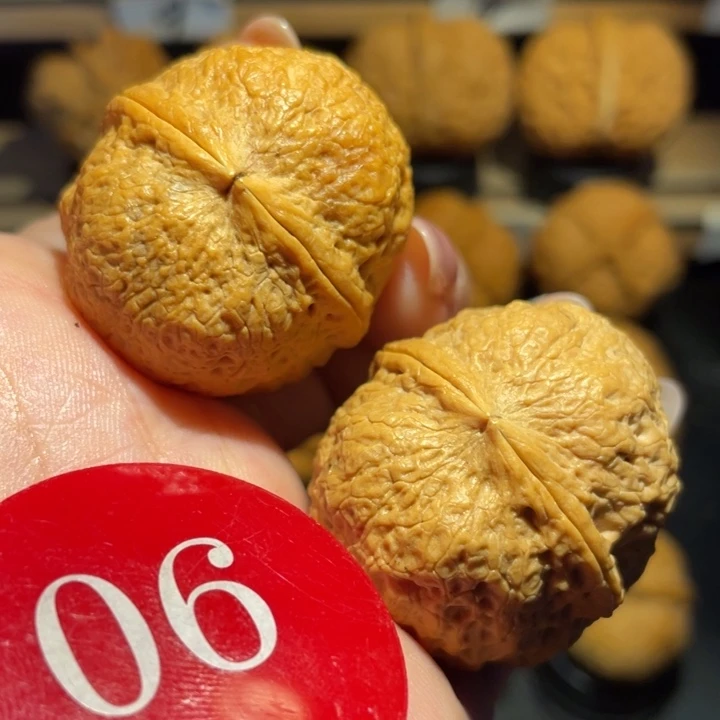 小星球核桃尺寸37