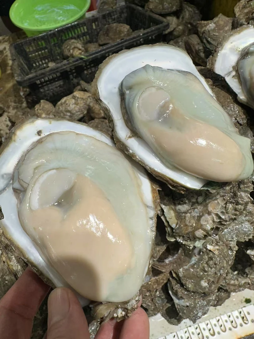 钦州白玉蚝新鲜生蚝肉250克/10个装包肥
