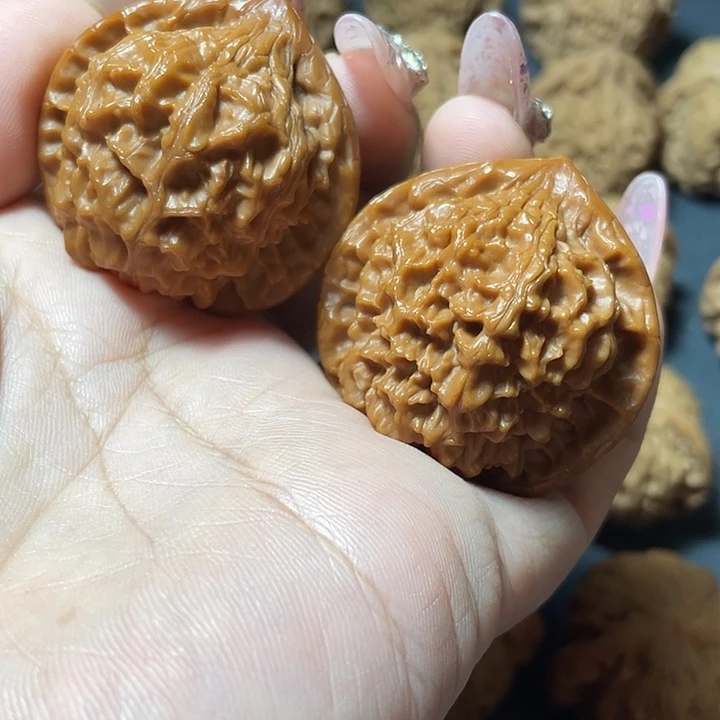 金麒麟40