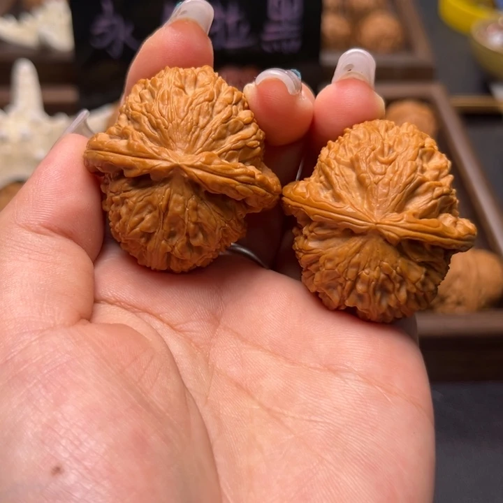 文玩核桃把件44尺白狮子34