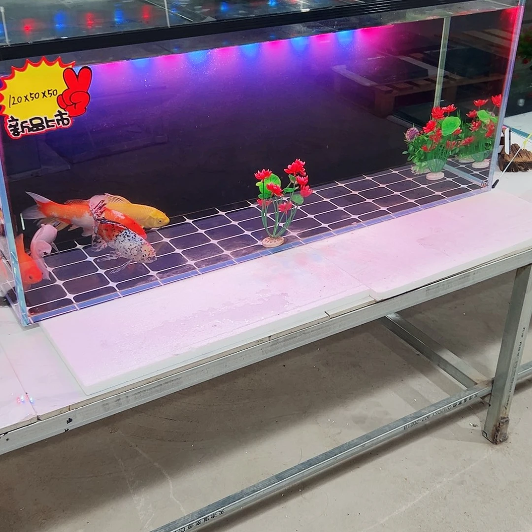 8***8玻璃1.25050背双鱼马桶玻璃盖全套