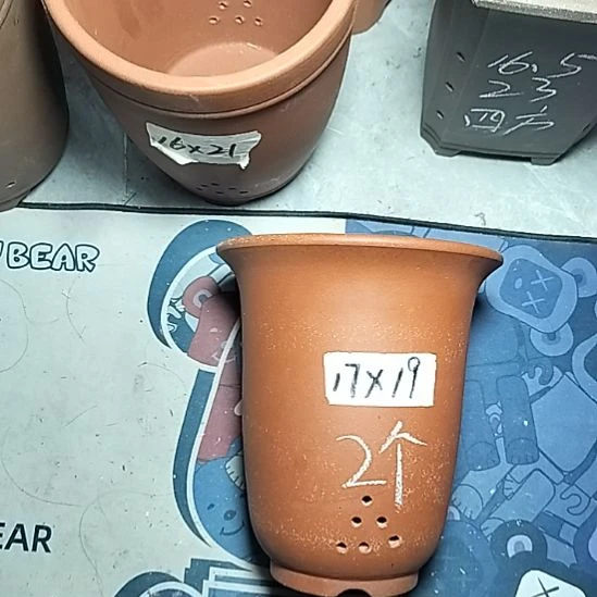 红泥小金钟两个花盆花泥