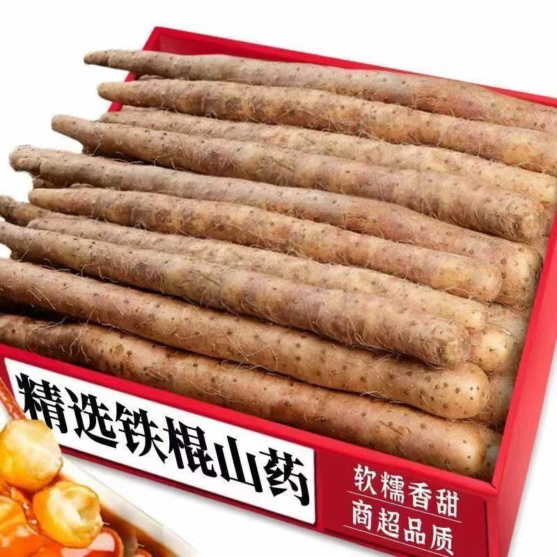 【精选】正宗铁棍山药粗根大果新鲜粉糯营养健康优质农产品蔬菜食材