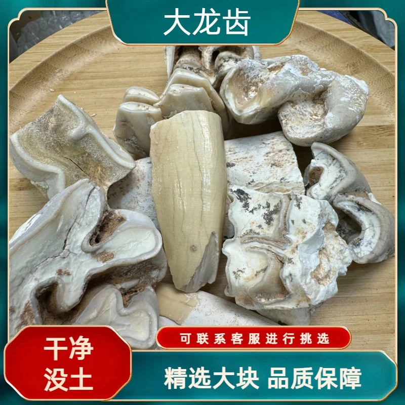 水洗大龙齿保正品无碎块可联系客服进行挑选