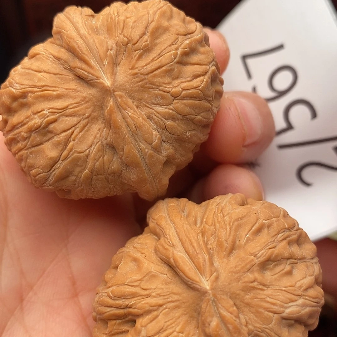 把件文玩核桃41元宝