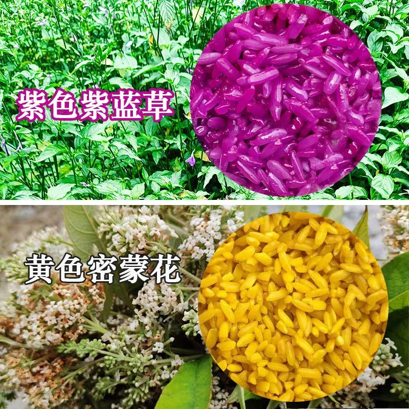 壮族三月三清明节糯米饭颜色花植物染料五彩糯米饭染色花黄米饭花