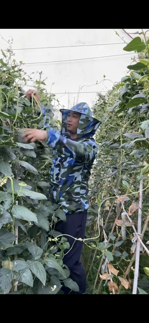 户外秋收玉米神器加大加厚透气连体专用防划防尘防虫秋收必备