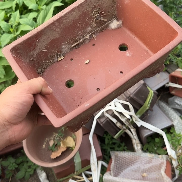 在家里等车回家我