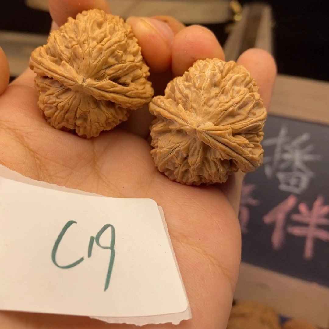 C19白狮子小手捻核桃34无修练手