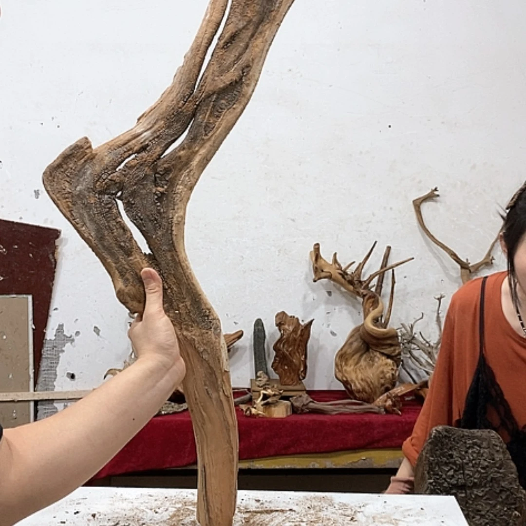 【闪购商品】柏木中**剑我们都是好孩子