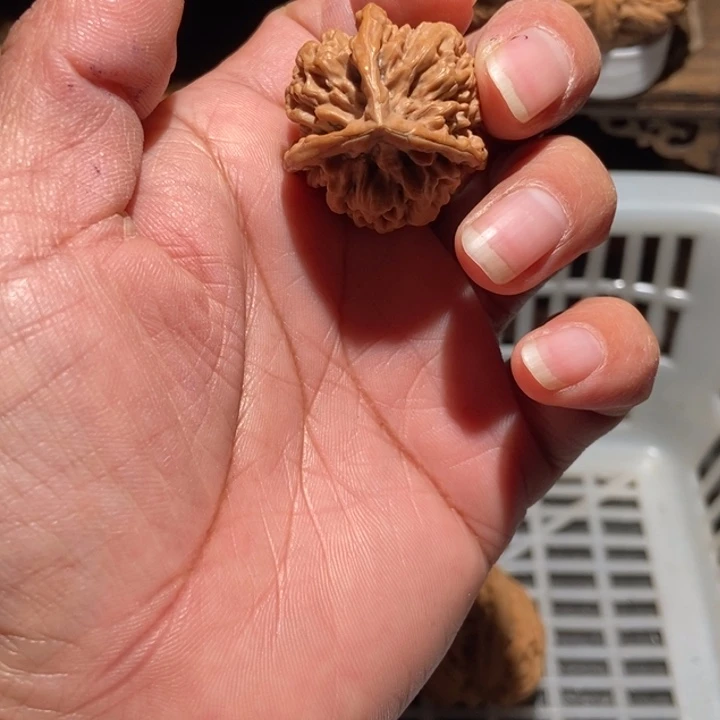 酒***财核桃三棱尺寸31全品