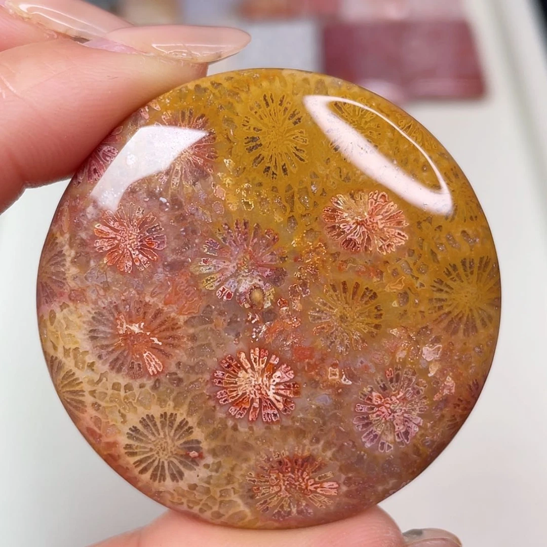 【闪购商品】未镶嵌吊坠(赠链)硅化玉