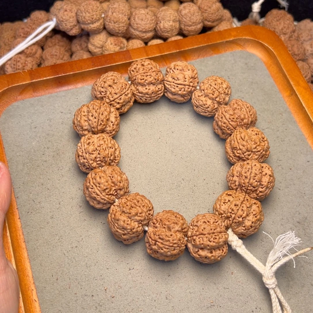 菩提32号金刚菩提深沟梅花25+