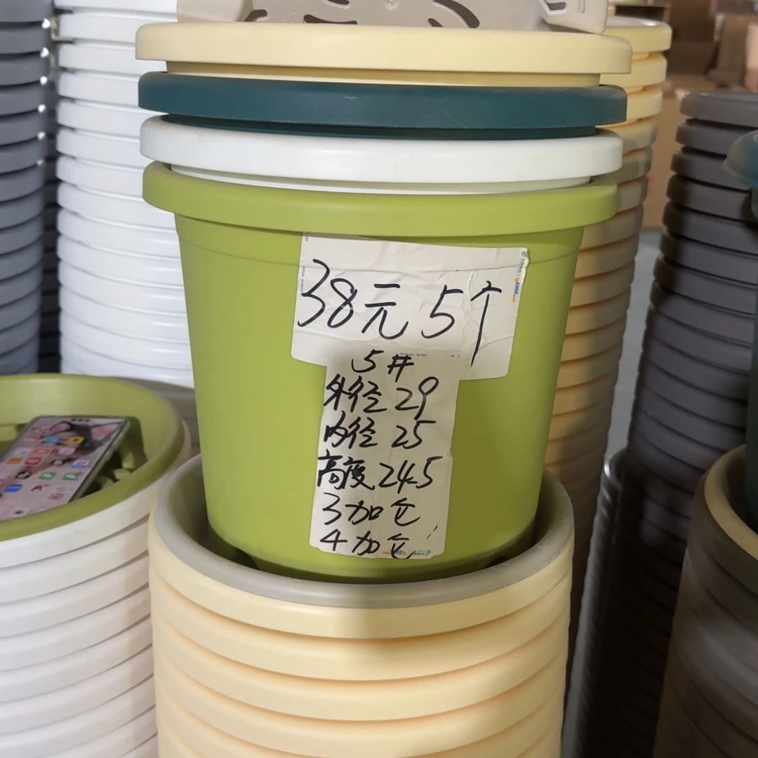 四季5#口径29无拖果绿5个