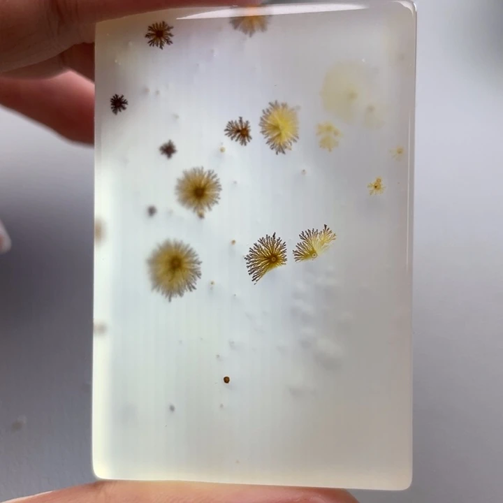 玛瑙/玉髓颈饰未镶嵌老*