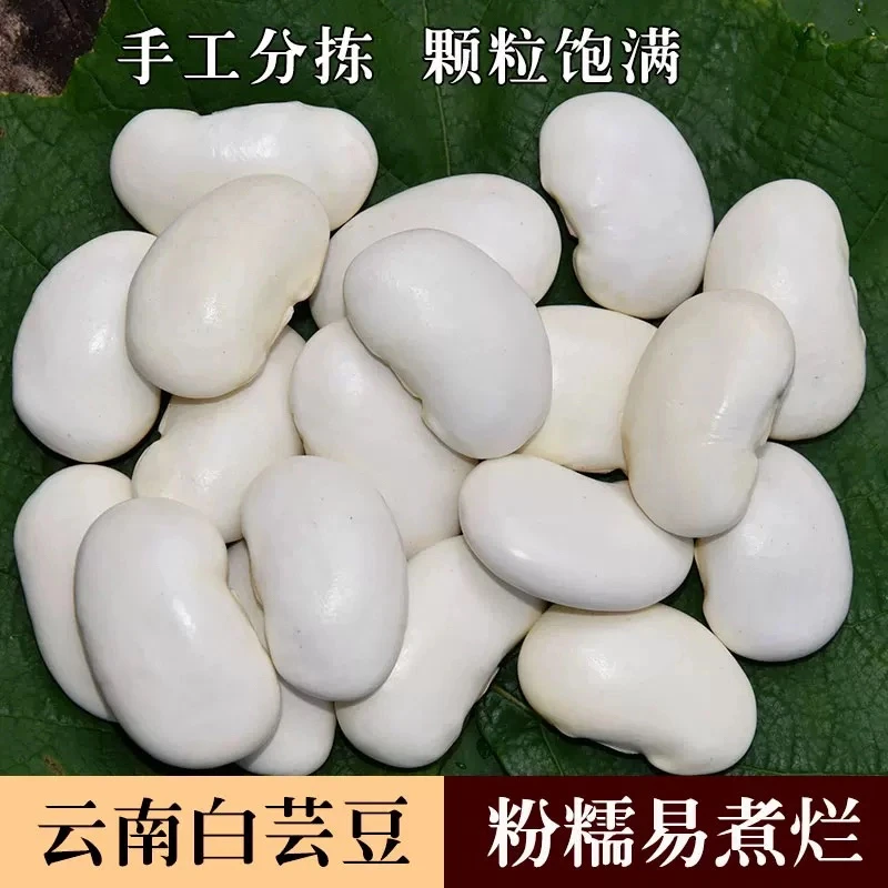白芸豆农家自种雪豆五谷杂粮营养丰富一斤装500g干货T1