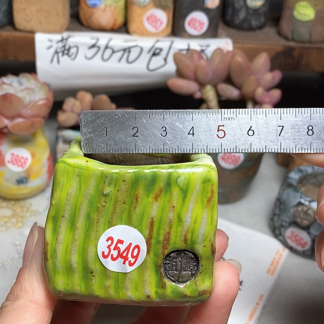 红陶拍5送一个小