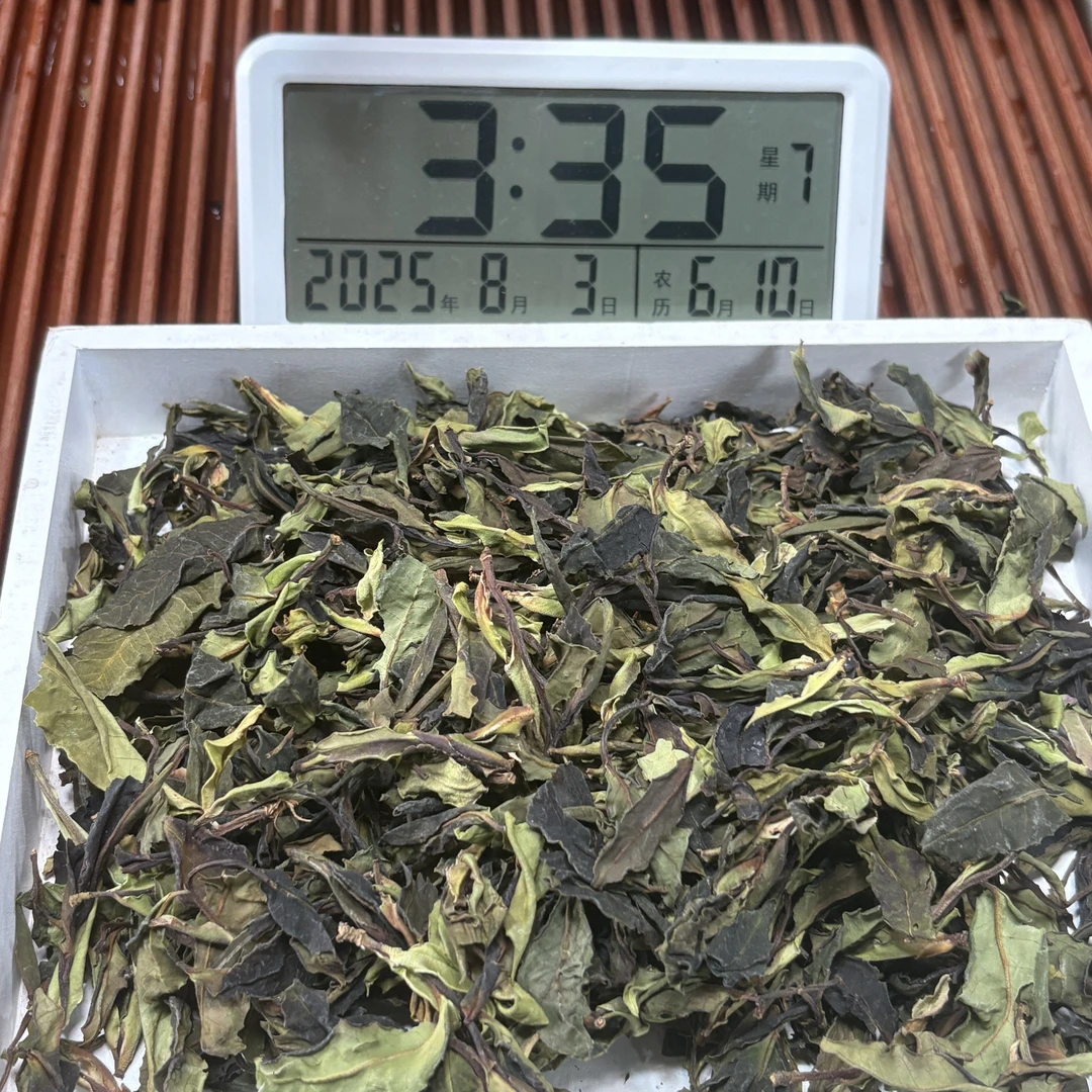 2025年山千岁白茶  散料 春 【58号】8-2