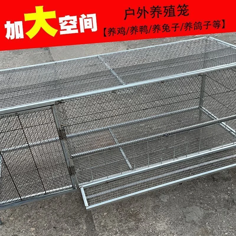 探头吃食加厚网加粗加密链条网农村户外防蛇鼠养鸡养鸭养兔家禽笼