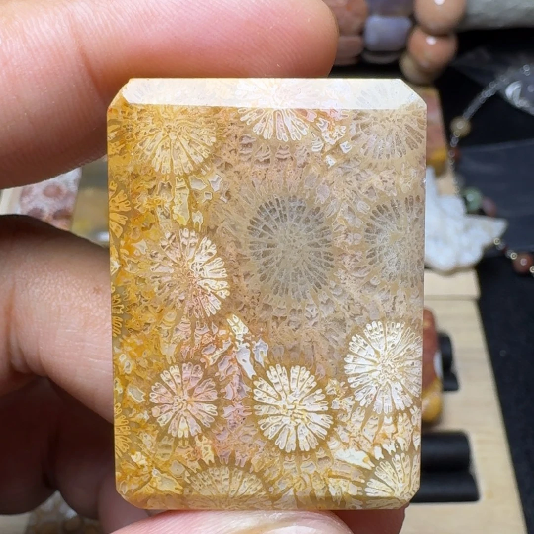 硅化玉未镶嵌纯天然色有机玉石保真色
