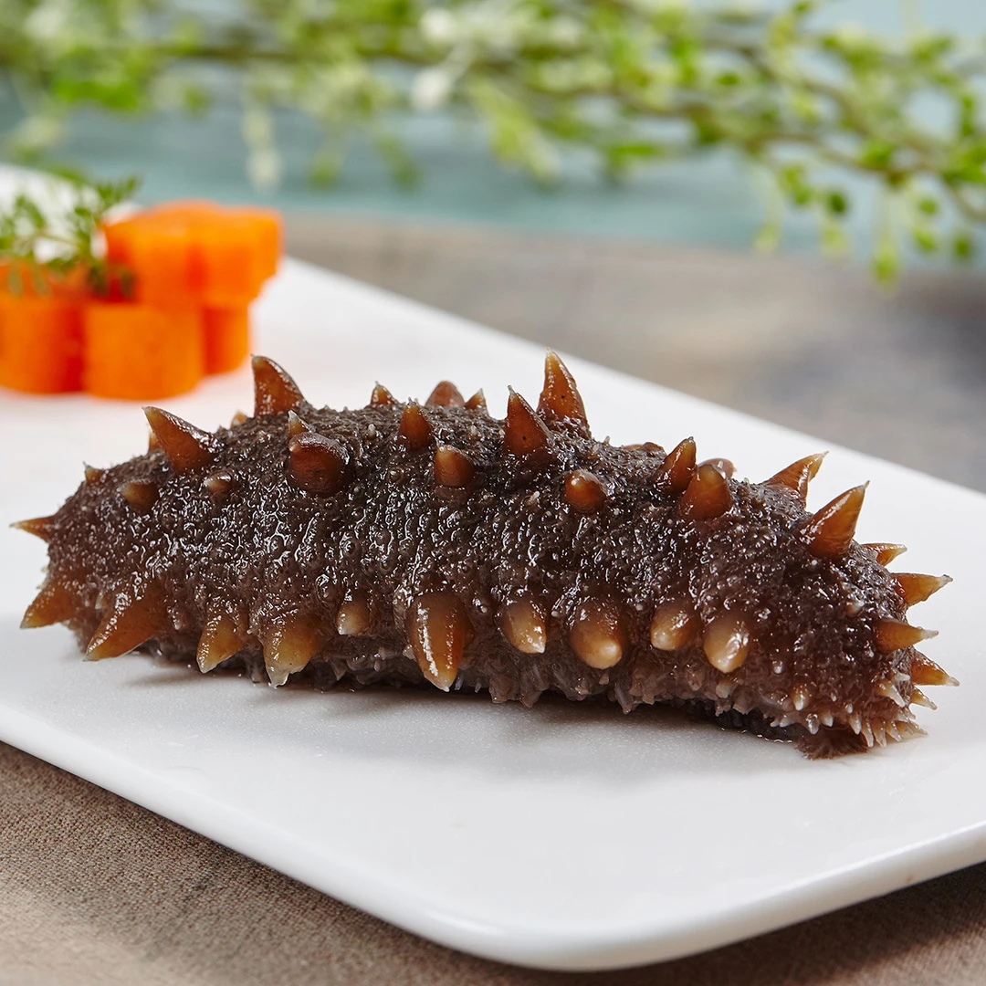 大连鲜食海参辽刺参9-13头/斤  顺丰包邮