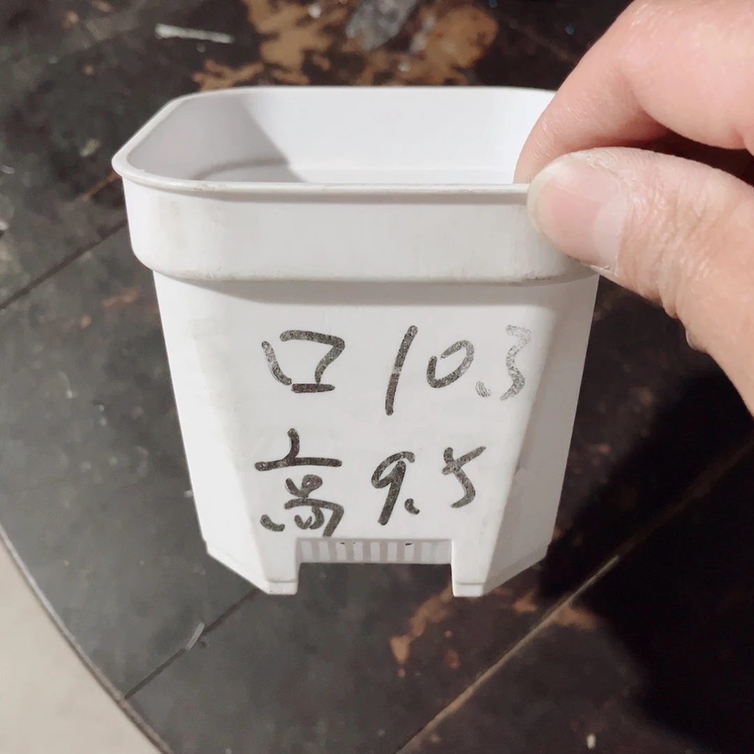 塑料加厚矮胖10方白色盆10个无托