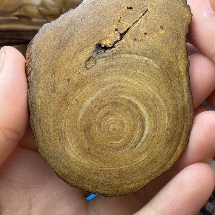 沉香碎屑沉香柬埔寨老料留疤手把件11克