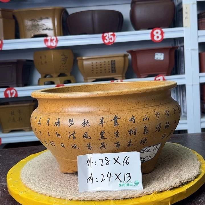 花盆紫砂蛇年大吉