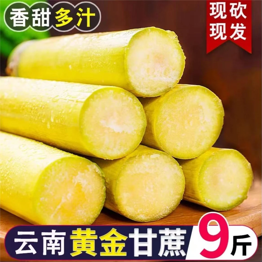正宗云南特产黄金甘蔗整箱应季新鲜水果当季榨汁脆甜爆甜黄皮甘蔗