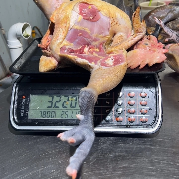 二号公鸡食用农产品中国大陆可*
