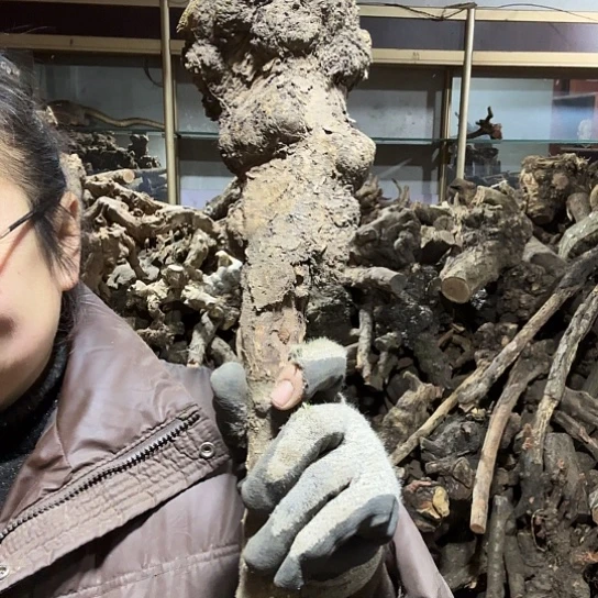 香榧木我**魔火琉璃的毛料摆件