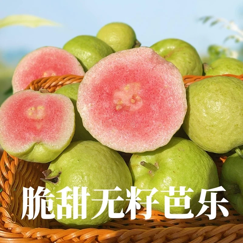 华侨农场台湾红宝石红心芭乐无公害水果番石榴味甜低脂芭仔