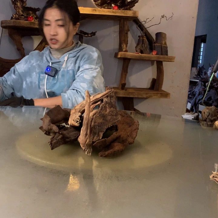 闲***适天然的云南紫柚木会黄水