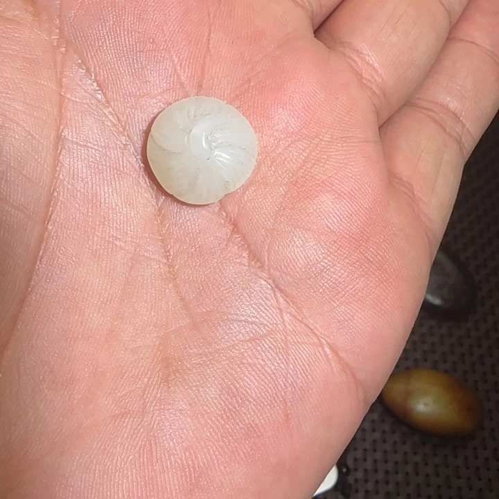 和田玉颈饰未镶嵌子****室