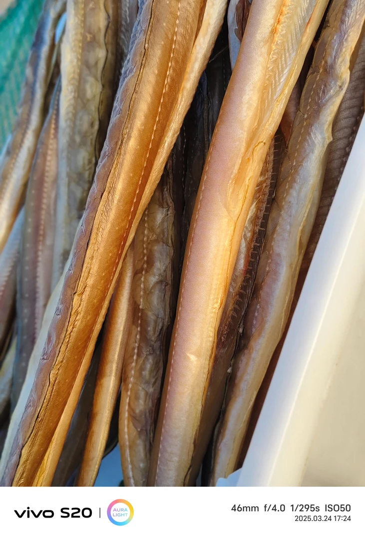 舟山当季现捕新鲜自晒油鳗鱼同2斤18-20条1份