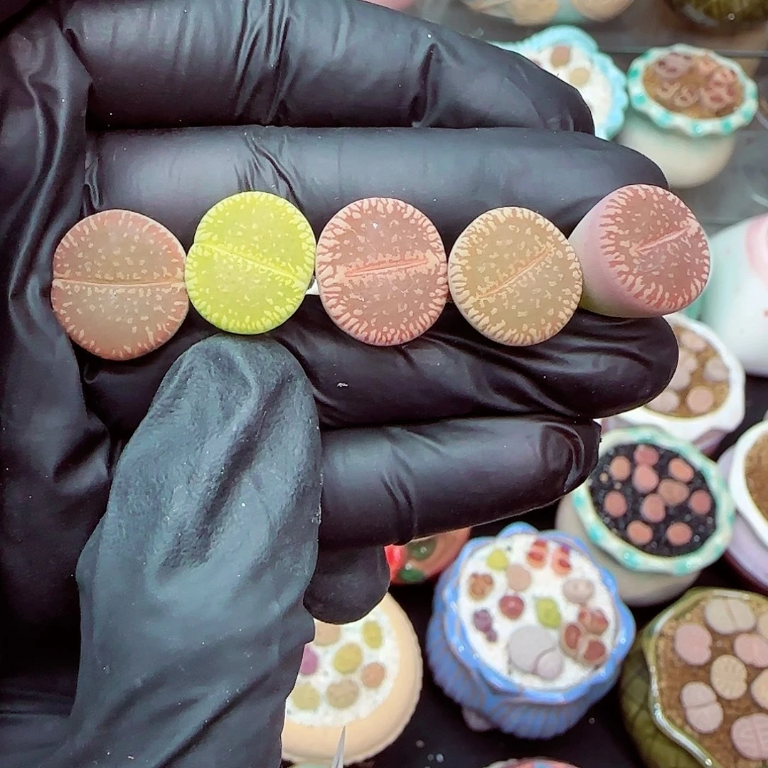 郎哥18包邮0603-267