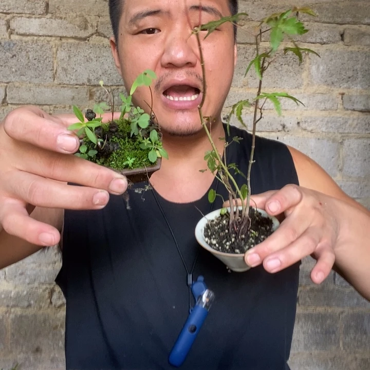 退款拉黑一物一拍100