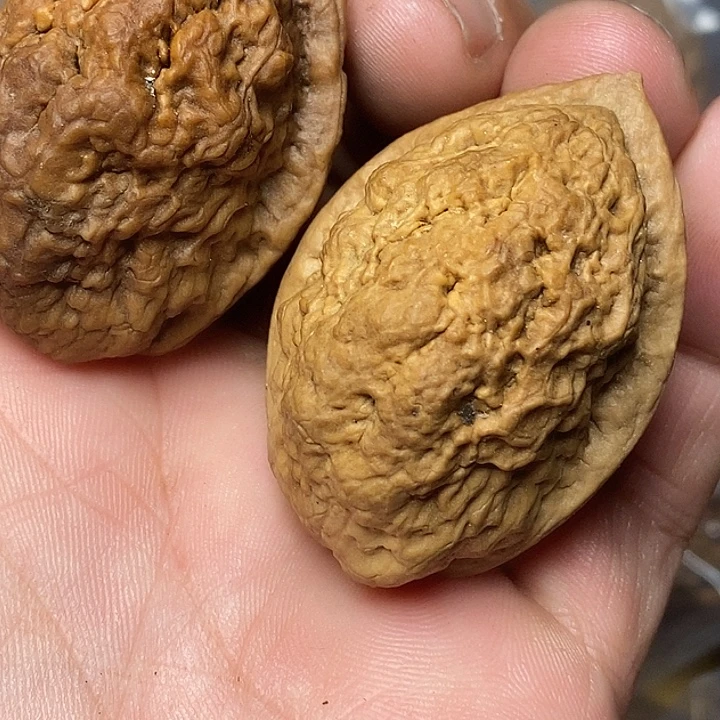 文玩核桃把件志成云铁文玩27