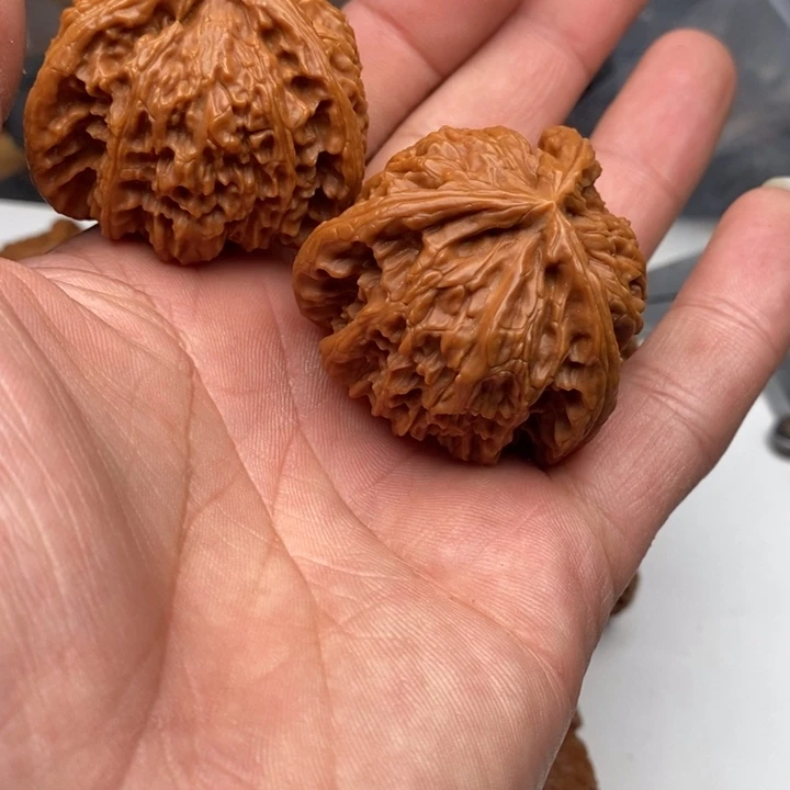 大***复你的世界末日来临之前我们