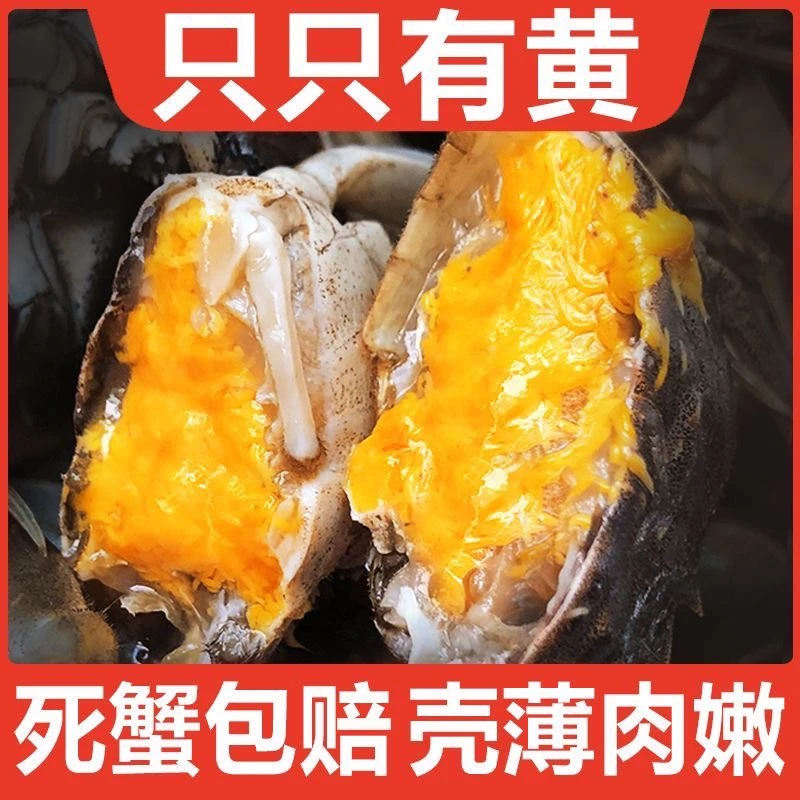 全母蟹1.8-2两 8只 京东包邮 绑绳