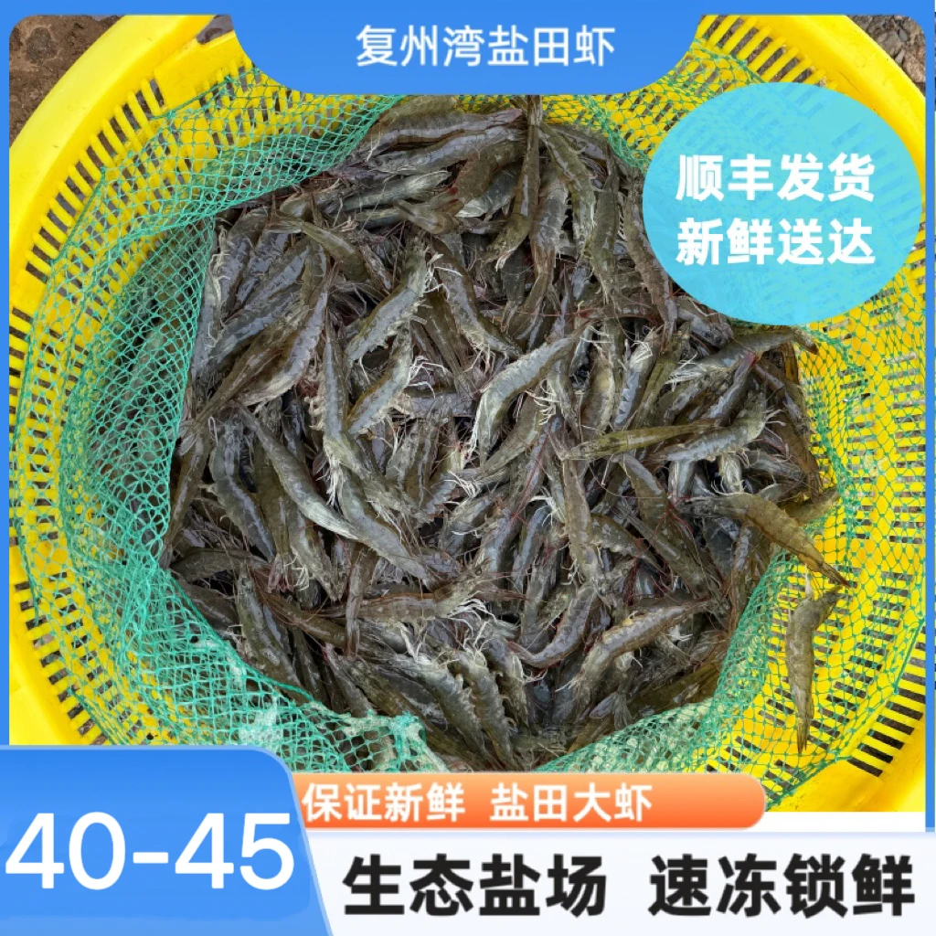 【净重三斤】正宗大连复州湾盐田虾40-50顺丰发货（冻虾发货）