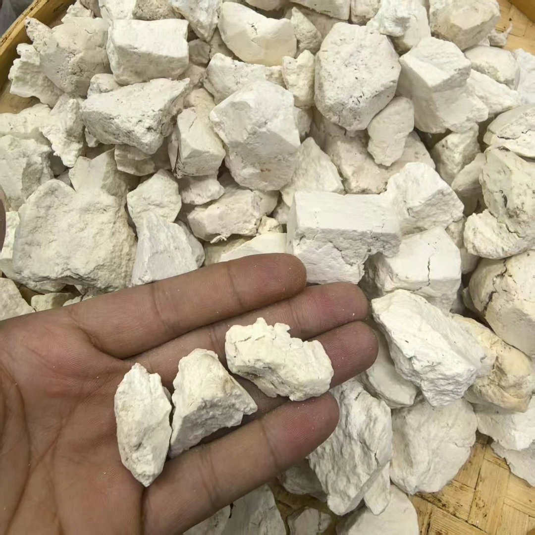 《蘭天加杰》云南 源自农家茯苓