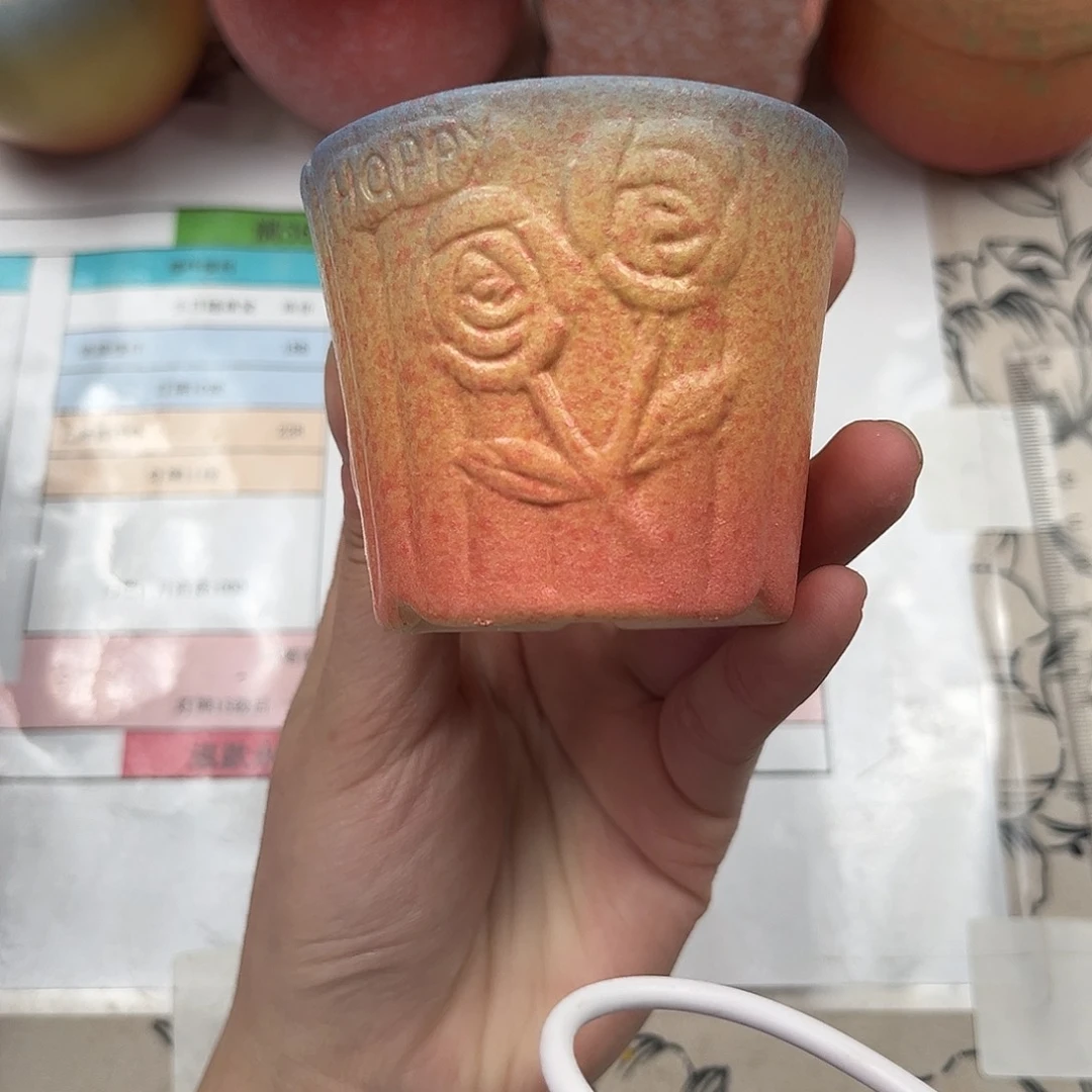 6*6 玫瑰花盆一个母亲节福利满36包邮