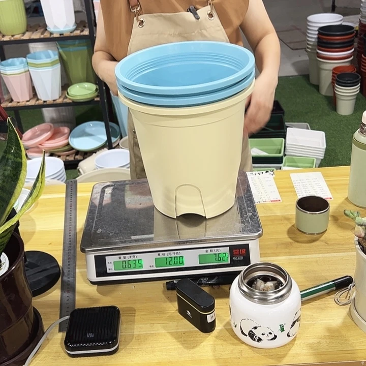 圆形控根口24高24混色无托3只