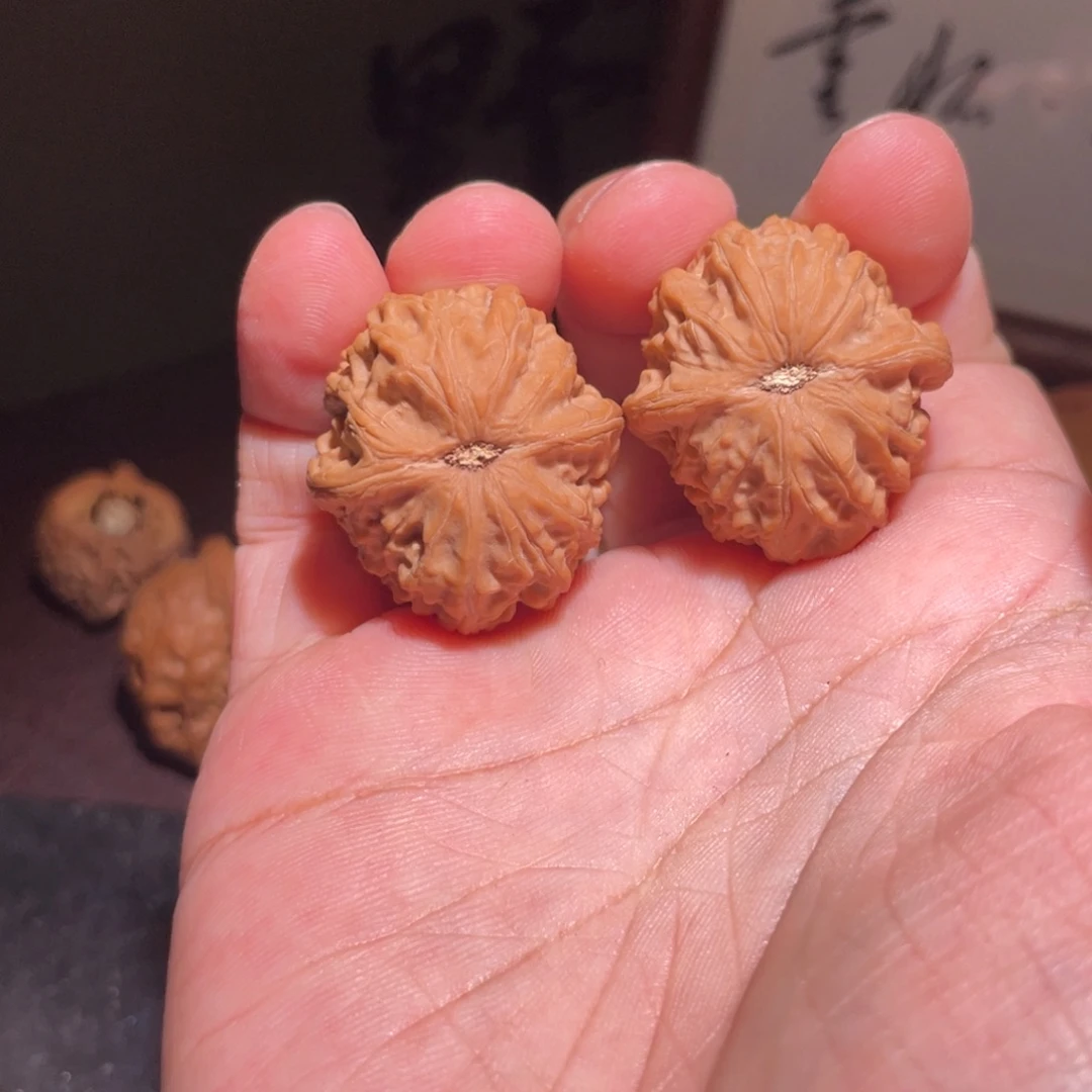 一***徙文玩核桃纯野生果