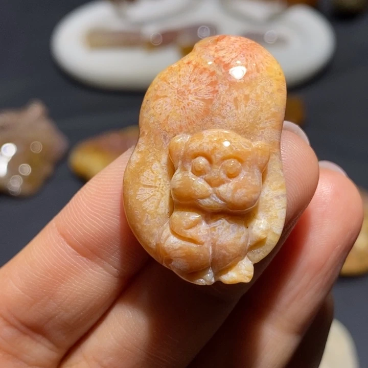 【闪购商品】未镶嵌珊瑚玉硅化玉