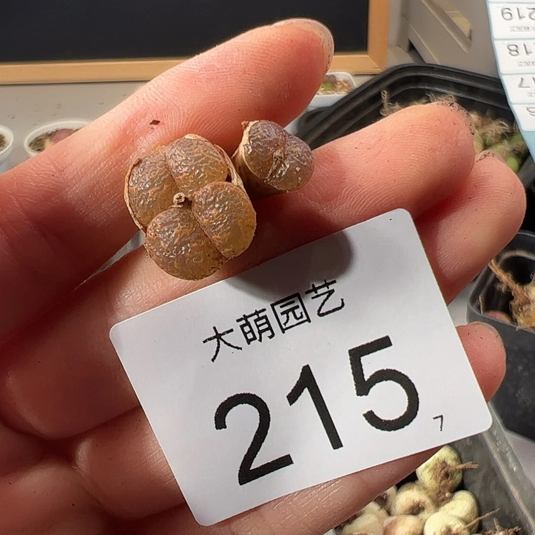 0000215 一物一拍。