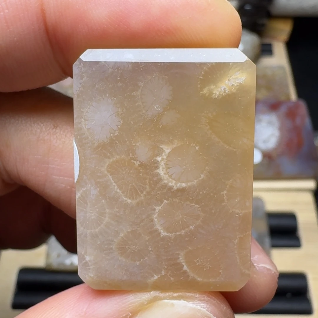 硅化玉未镶嵌纯天然色有机玉石保真色